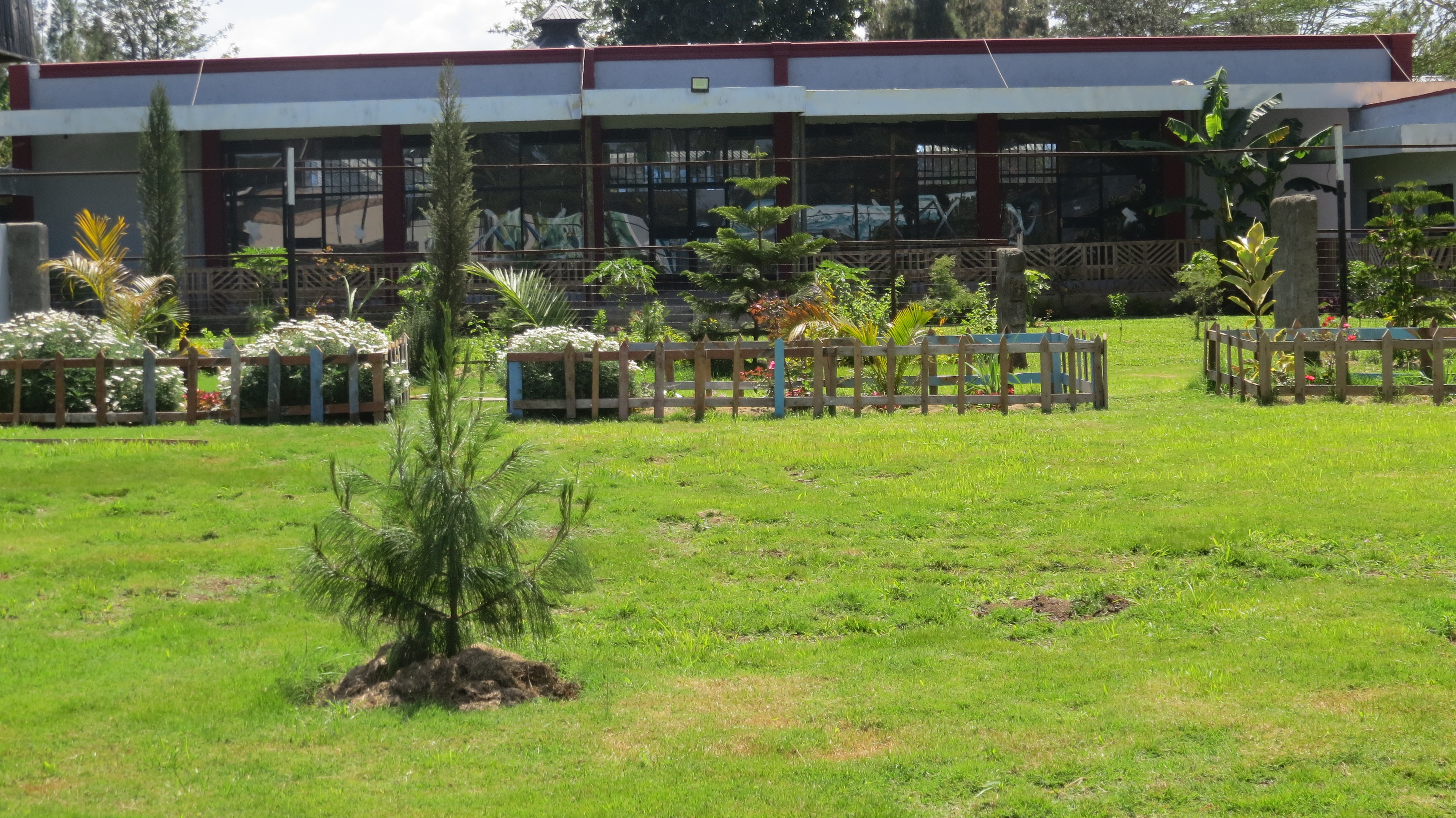 Scenic Green Landscape